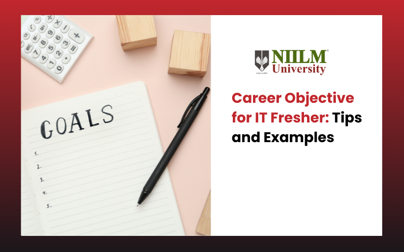 Career Objective for IT Fresher - 1*G0HJmwos5IVX12QeBf2QQg