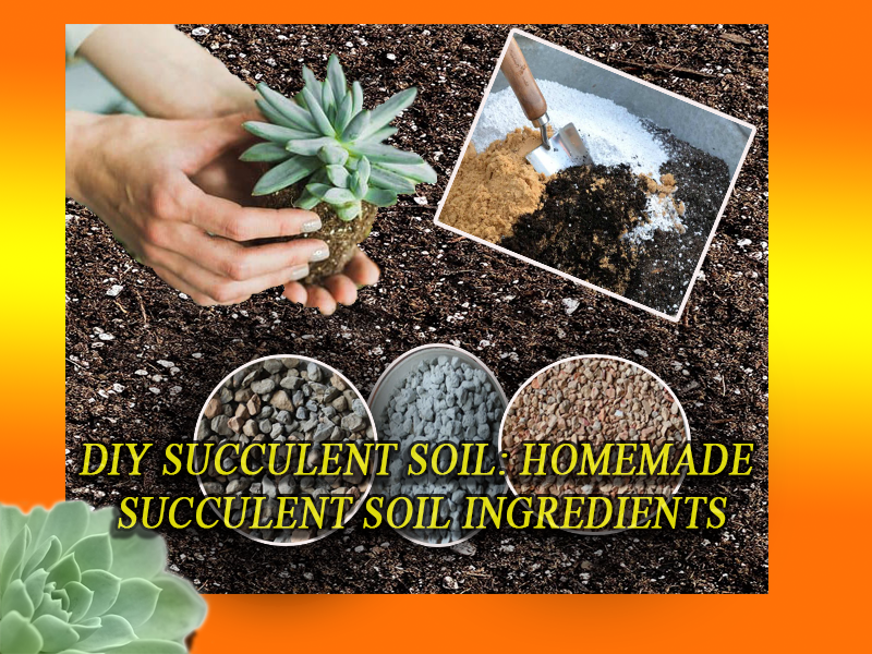 DIY SUCCULENT SOIL HOMEMADE SUCCULENT SOIL INGREDIENTS