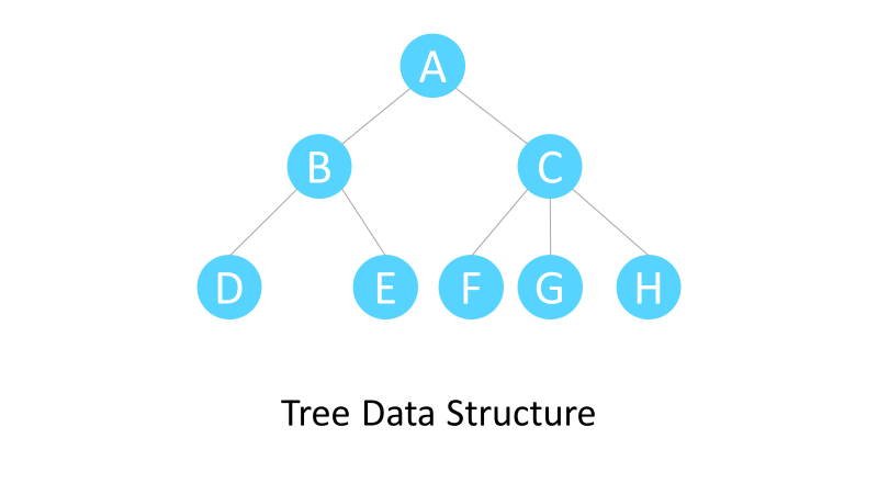All about Tree Data Structure. In the vast landscape of data… | by ...