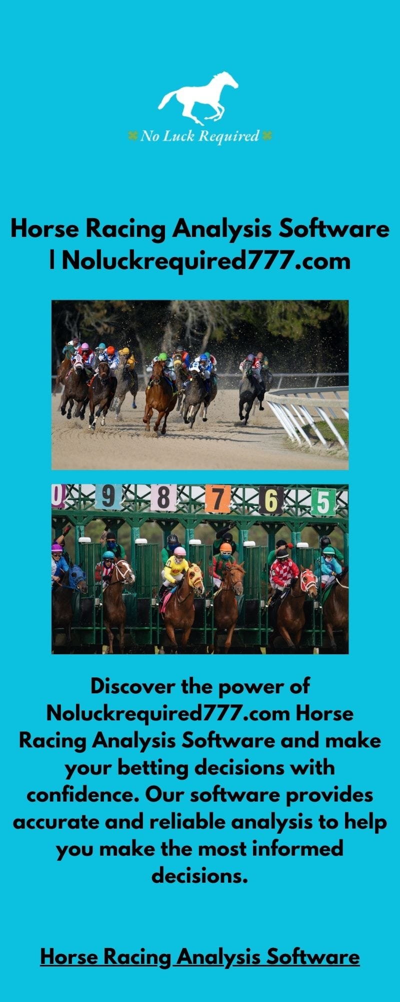 Horse Racing Analysis Software