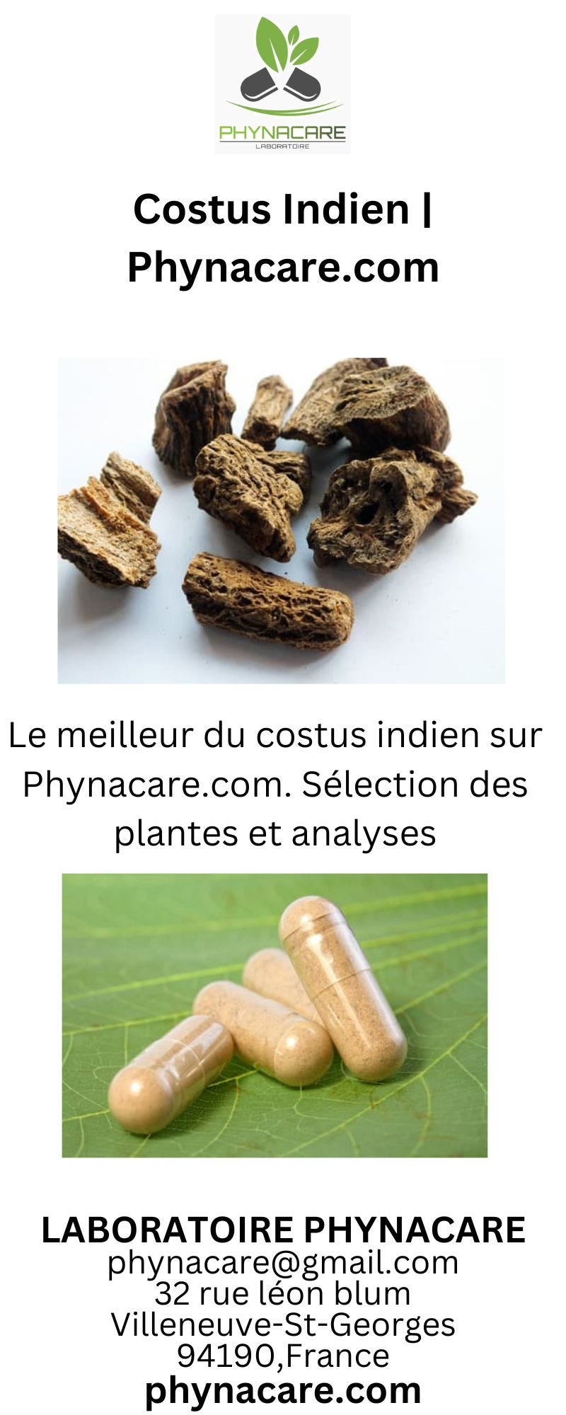 Costus Indien  Phynacare.com - Phynacare - Medium