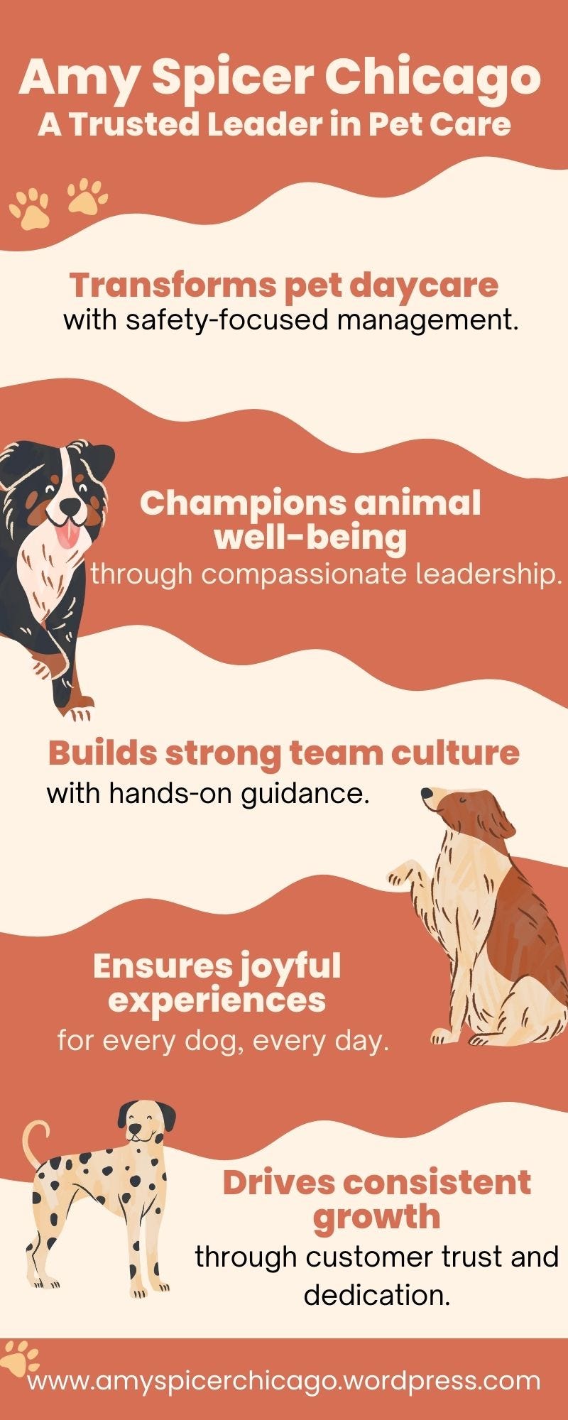 Amy Spicer Chicago’s Commitment to Exceptional Pet Care