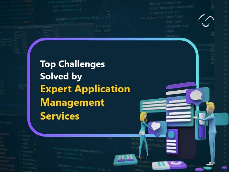 Top Challenges Solved by Expert Application Management Service