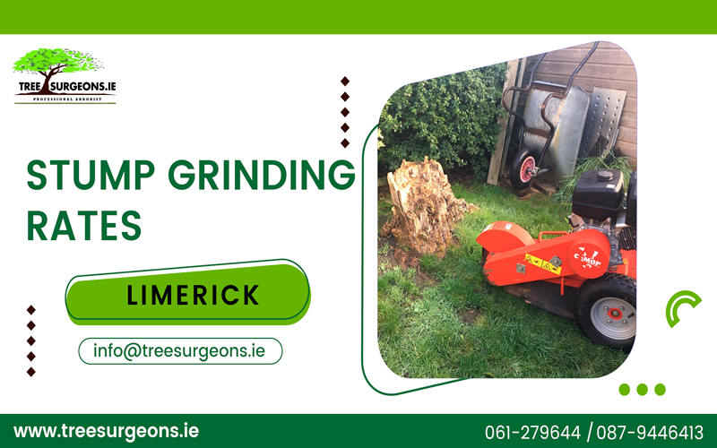The Difference between Stump Removal and Stump Grinding Services by