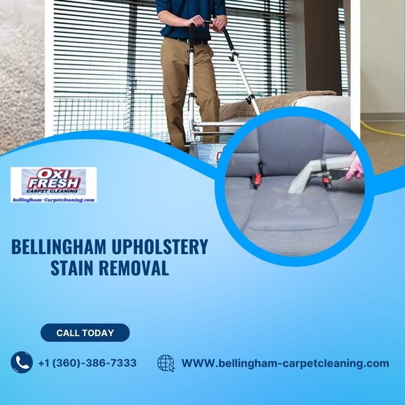 Restoring Elegance The Art and Science of Upholstery Stain Removal in