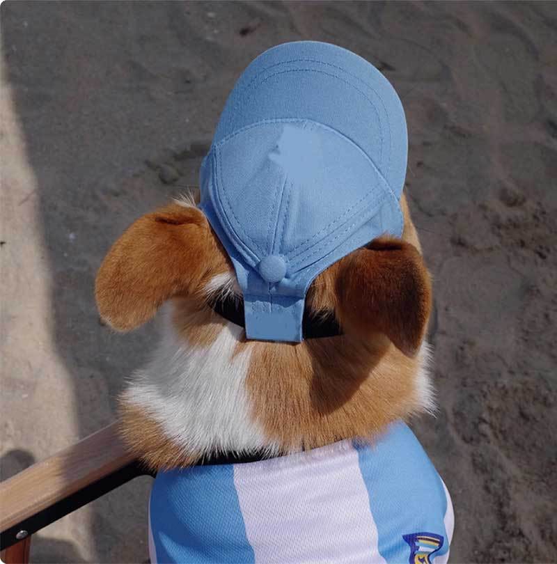 Summer Adventures With Your Pet: The Little Things That Make a Big Difference