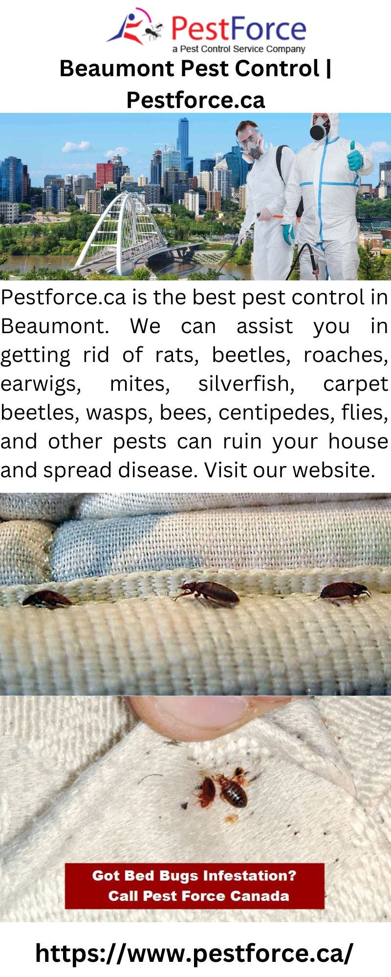 Beaumont Pest Control Pestforce.ca Pest Force Canada Medium