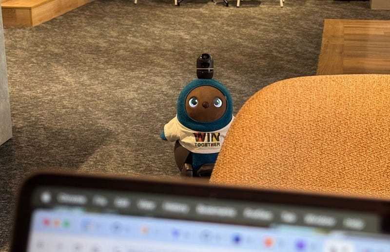 Mochi, simultaneously the world’s best motivator and distraction