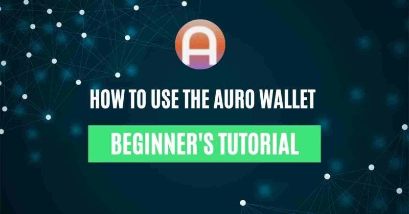 How To Use The Auro Wallet. This guide contains detailed steps on… | by ...