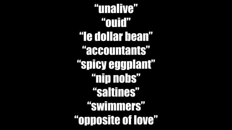 Why We’re Creating Language to Hide from Tech’s Censorship Systems