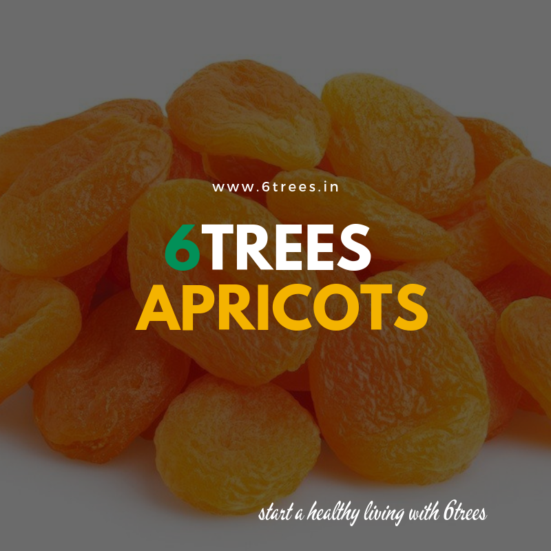 Apricots dry fruits — dry fruits and nuts, dry fruits benefits by