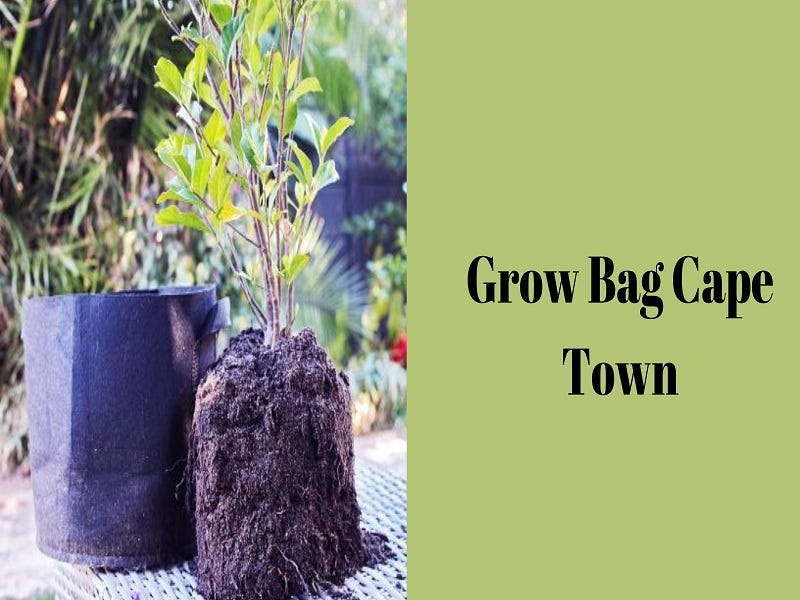 Fabric Grow Bags from Ecowhizz