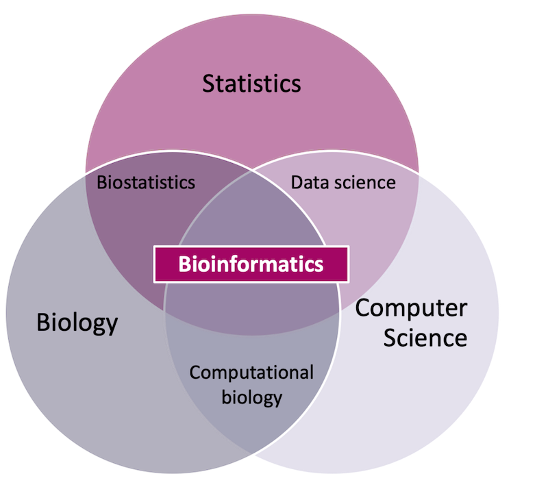 Exploring The Interconnection Between Data Science And Bioinformatics ...