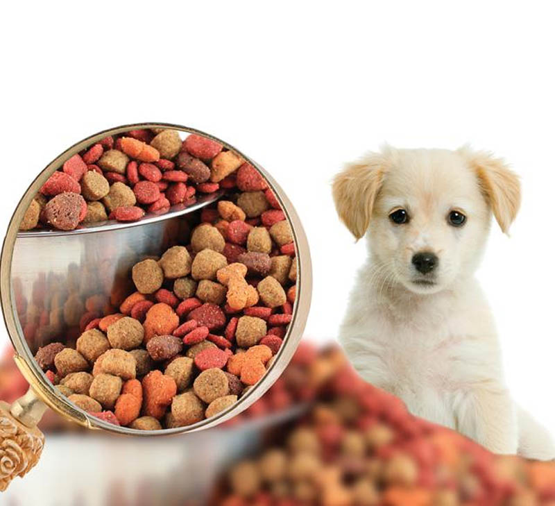 How is pet food produced?. Pet food processing has had to evolve… by
