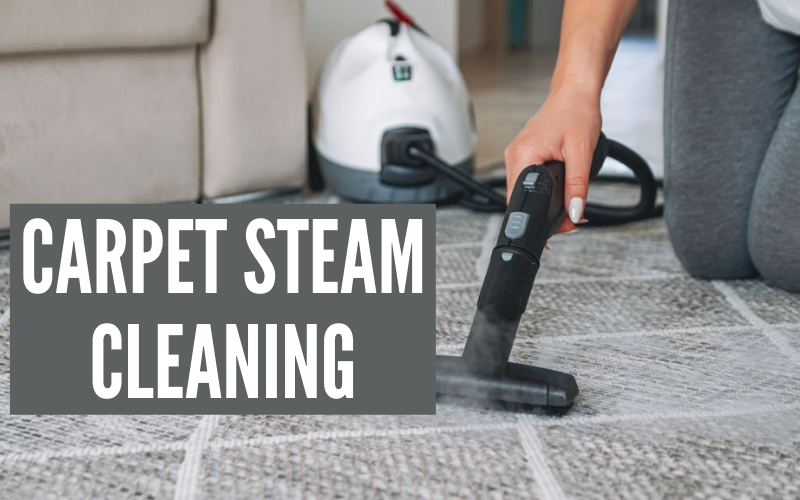 How Often Should You Steam Clean Your Carpets? by Expertcarpetsydney