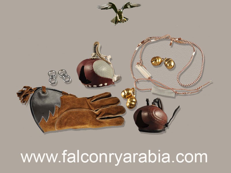 Falconry: Equipment Required to Get Started, by Falconry Arabia