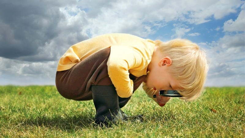 Advice for Kids, Including Those in Families Overseas  by Avi Loeb  May, 2026  Medium