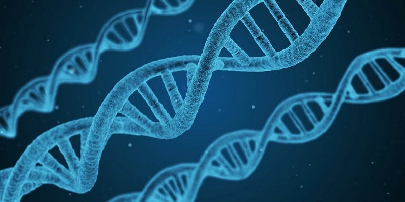 Another win from Thrive Global