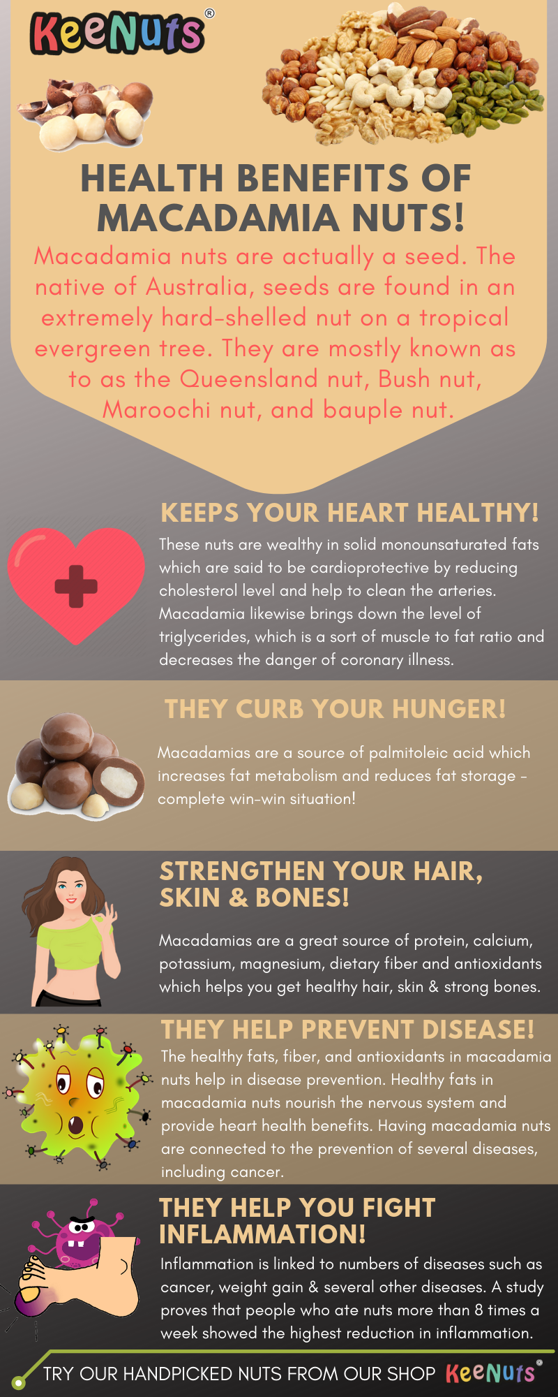 Health Benefits of Macadamia Nuts! by Keenuts Surat Medium