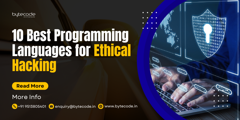 Ethical Hacking Mastery: Programming for Security Success