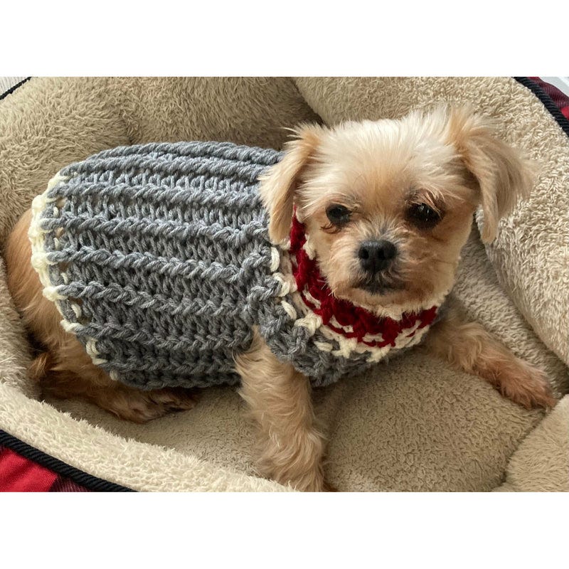 Cozy up in Style: Muskoka Pooch Cabin Pet Sweaters!” - Muskoka Pooch ...