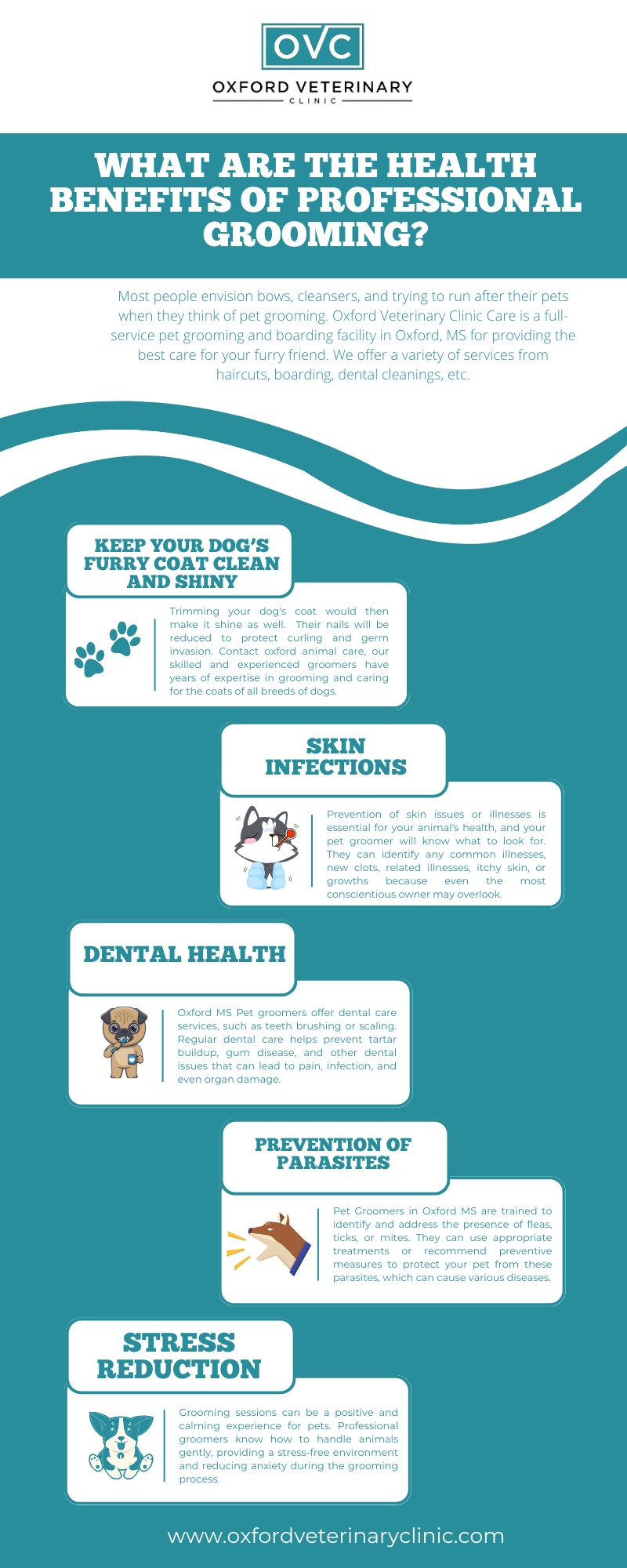 What are the Health Benefits of Professional Grooming? Oxford