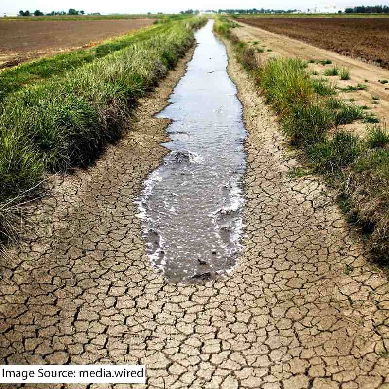 Irrigation agriculture