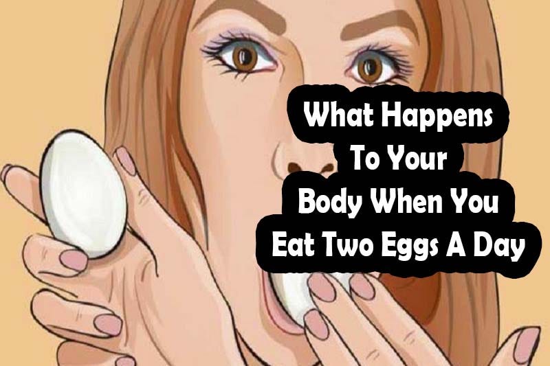 what-happens-to-your-body-when-you-eat-two-eggs-a-day-feelforhealth