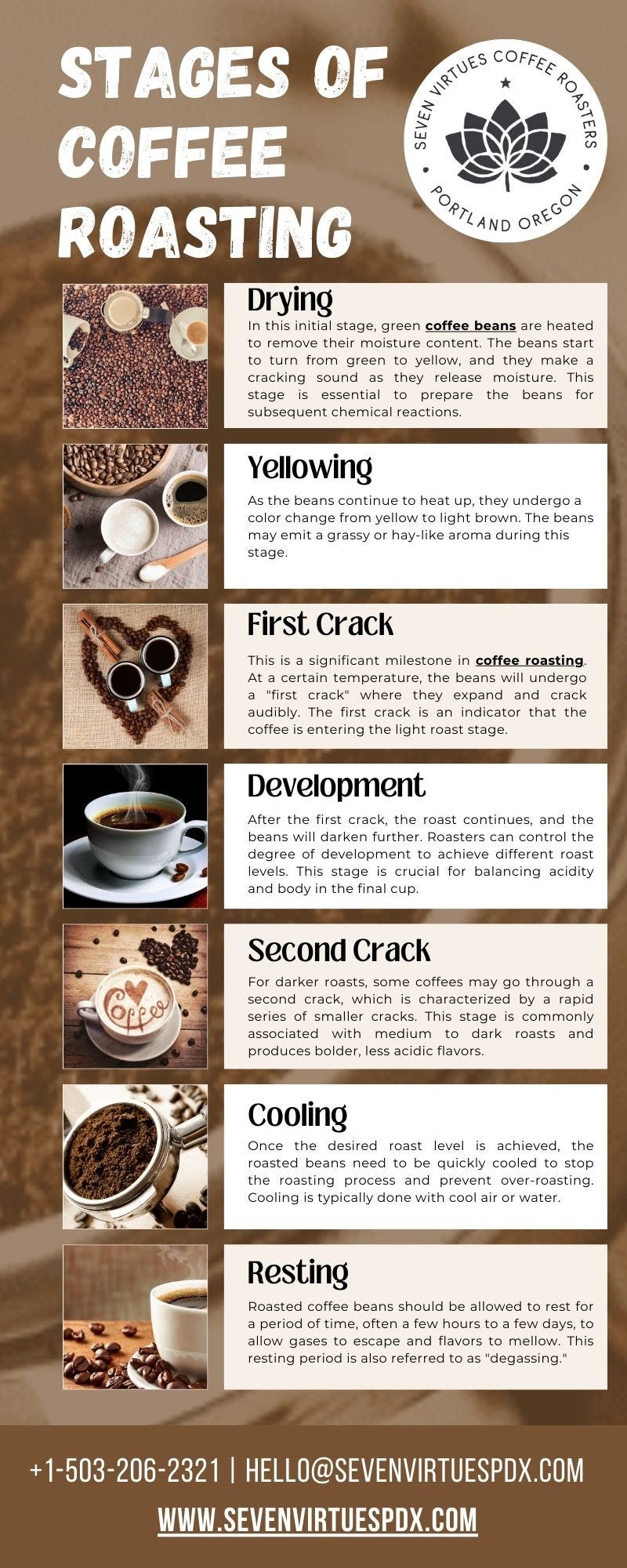 Stages of Coffee Roasting - Seven Virtues Coffee Roasters - Medium