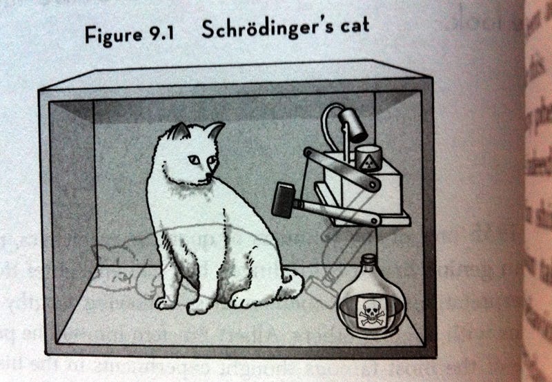 Schrödinger’s Cat: Unveiling the Paradox of Quantum Superposition | by ...