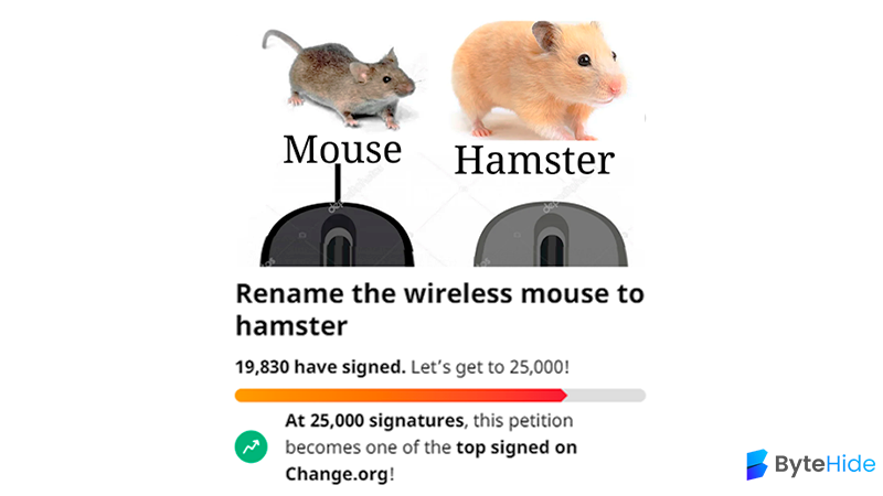 20.000 Developers Rename the Wireless Mouse to Hamster — Help Us!🐹 | by  Lidia Rodríguez💜 | ByteHide | Medium