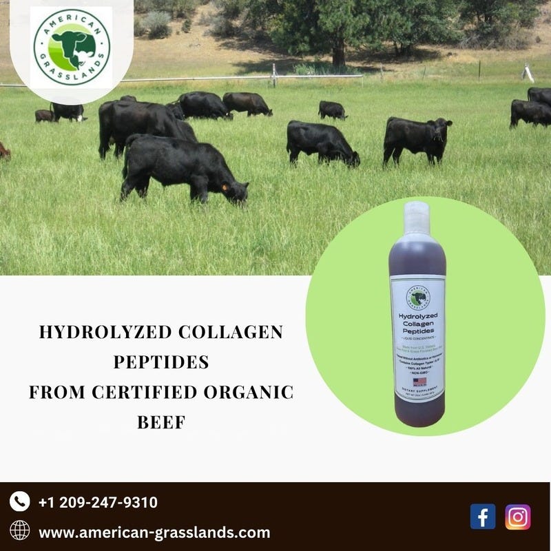 The Ultimate Guide to Hydrolyzed Collagen Peptides Types, Uses, and