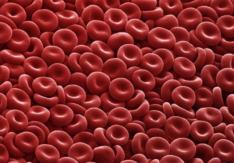 What are blood types?. How hematologists classify blood and… by