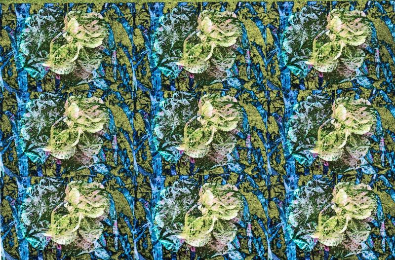 Print by Elise Isabel Andersen available at andersenstudio.com.