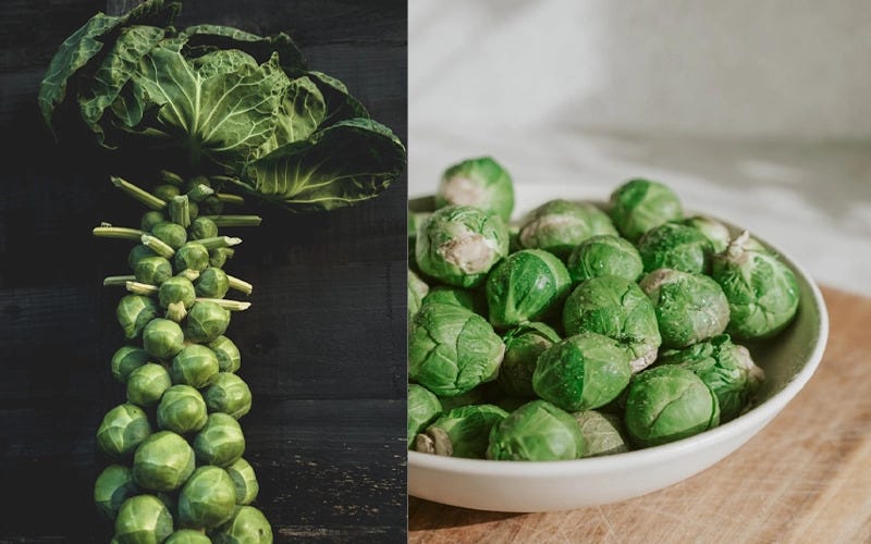 The Ultimate Guide to Brussels Sprouts Companion Planting