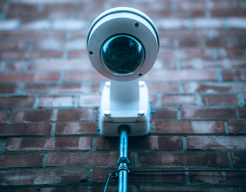 Can Social Trust Survive Beyond Its Cultural Origins?