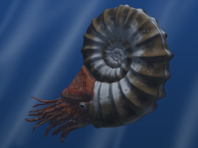The Good Willing Ammonite