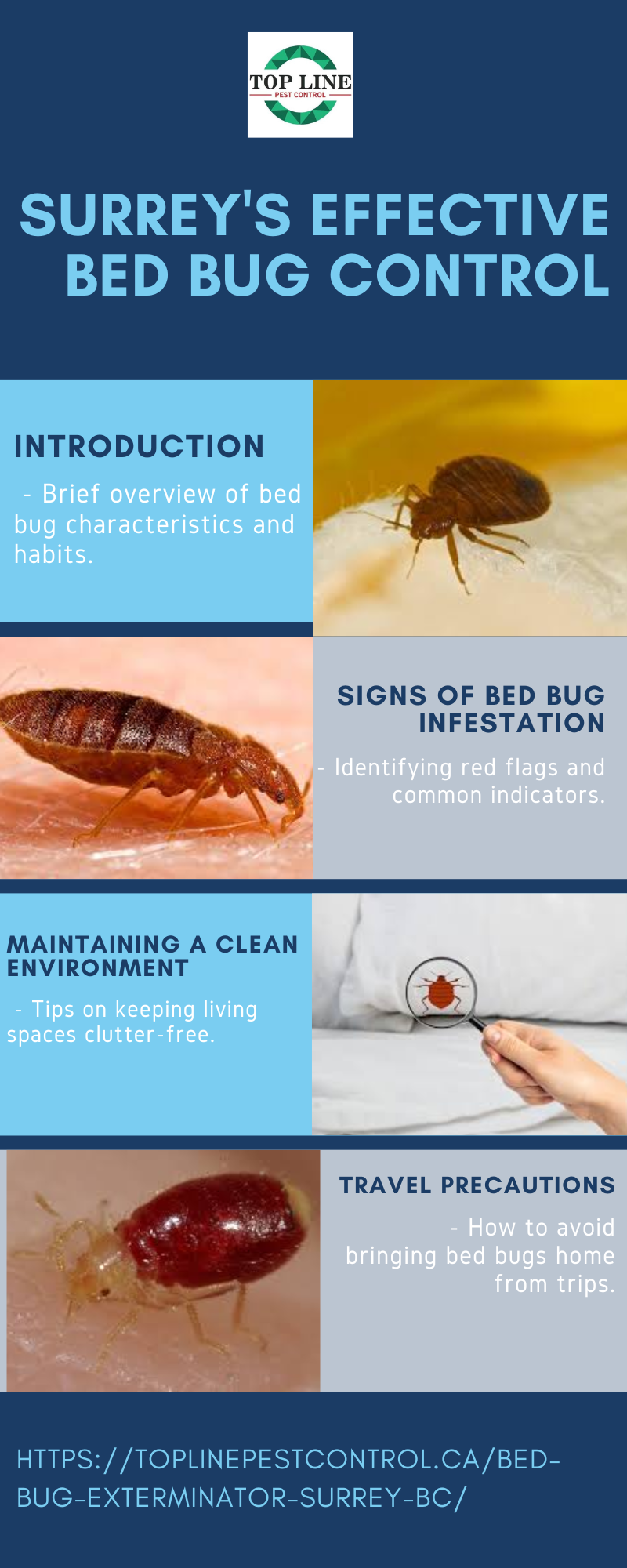 Surrey’s Effective Bed Bug Control Discover peace of mind with our
