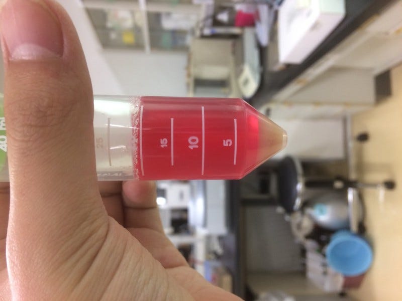 “Clean Foie Gras” Demonstration. Shojinmeat Project has been working on