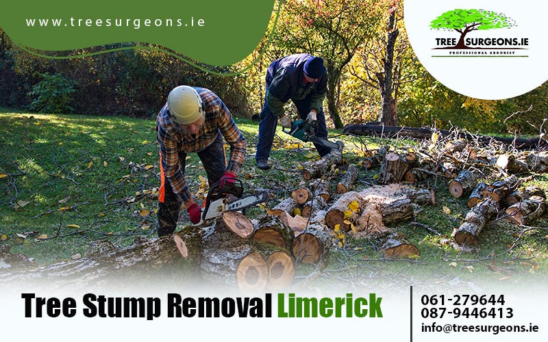 What Happens Unless You Remove Tree Stump from the Property? by