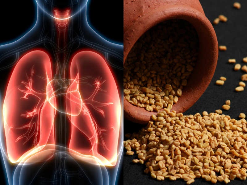 Give Your Lungs A New Life With The Best Treatment For Lungs Infection