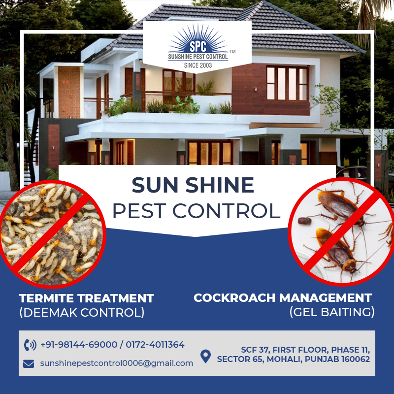 Best Termite & Cockroaches Control Services Sunshine Pest Control(Mr