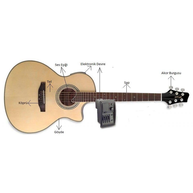 Temel Gitar Türleri ve Özellikleri | by Guitar Class 101 | Medium