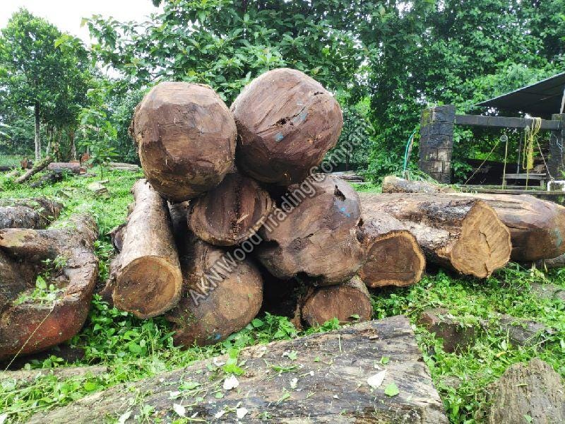 Why Teak Wood Is a Wonderful Choice for Furniture? by Devarshi Medium