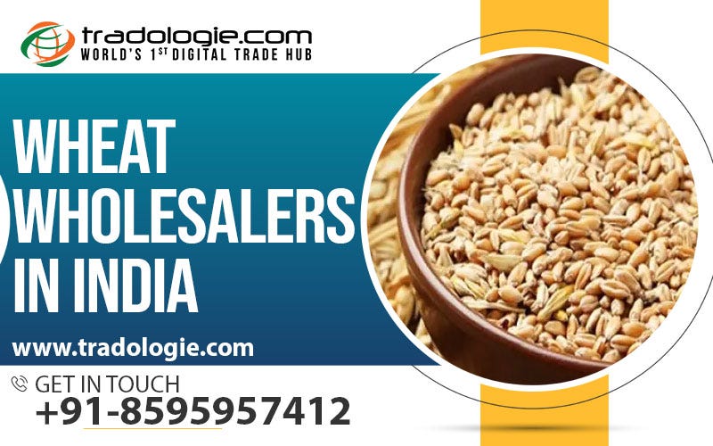 Wheat Wholesalers in India | by Bilalabbasi Tradologie | Jun, 2023 | Medium