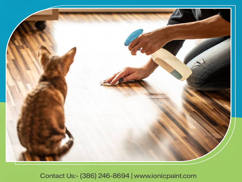 How to Eliminate Pet Urine Odors from Your Home by Ionic Paint