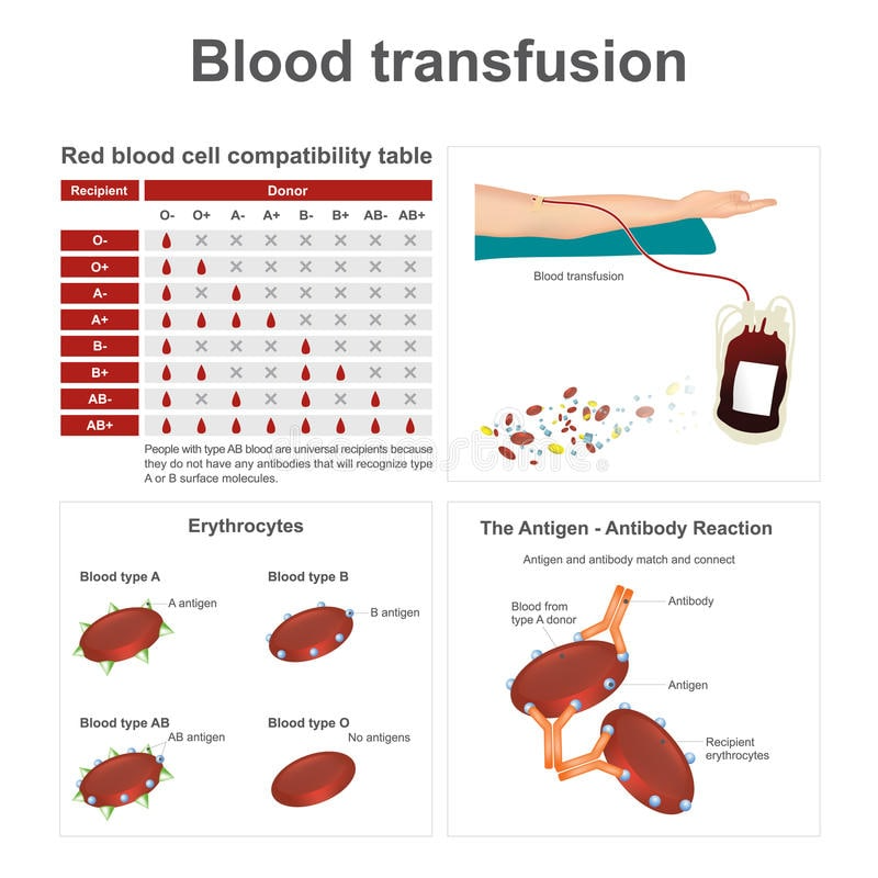 Why is blood group important for blood transfusion? by Cherifa