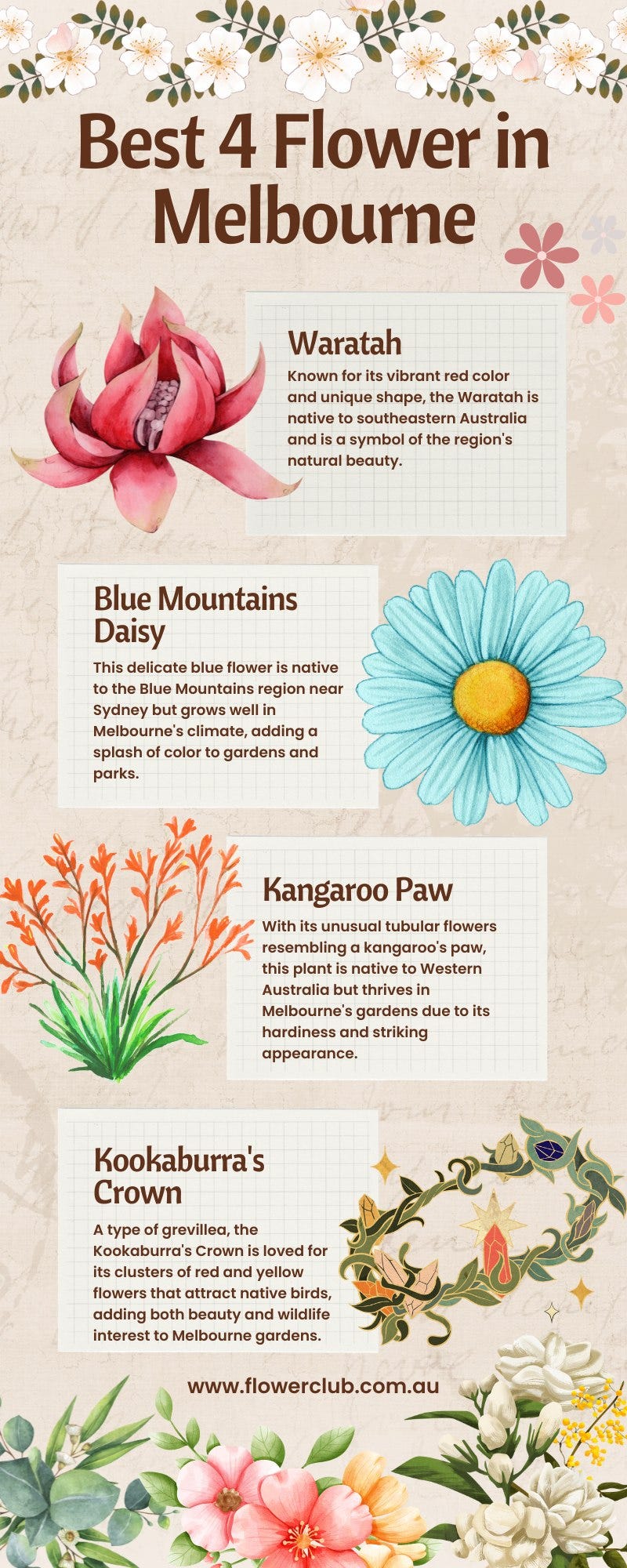 Best 4 Flower in Melbourne The Flower Club Medium