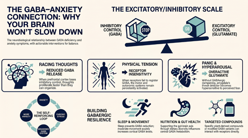 Why Your Brain Won’t Slow Down: The GABA-Anxiety Connection Explained