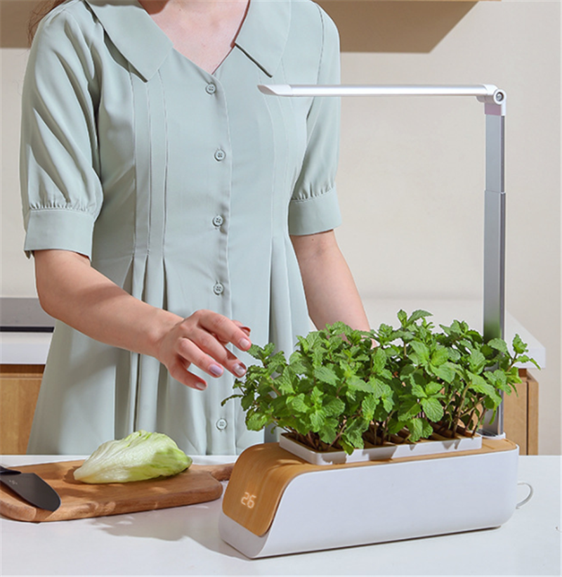 Fresh Herbs Year-Round: Discover the Smart Hydroponic Indoor Garden That Fits Anywhere